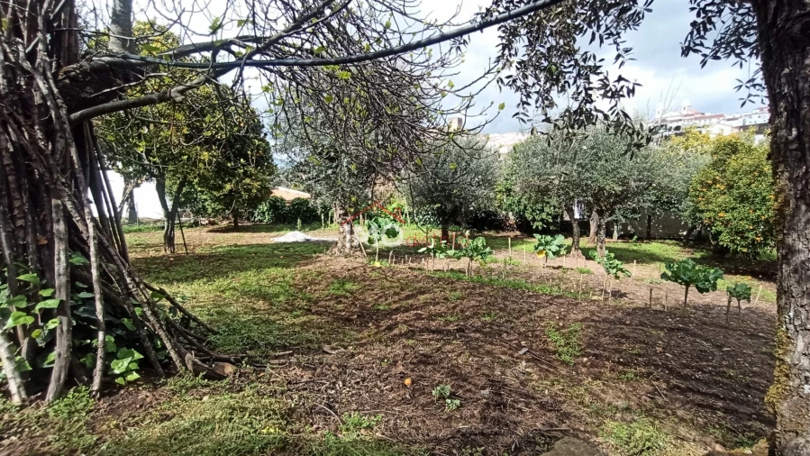 Moradia T3 para Venda em São João Baptista Foto 9