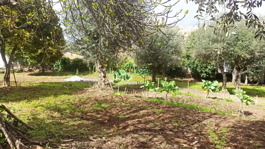 Moradia T3 para Venda em São João Baptista Foto 8