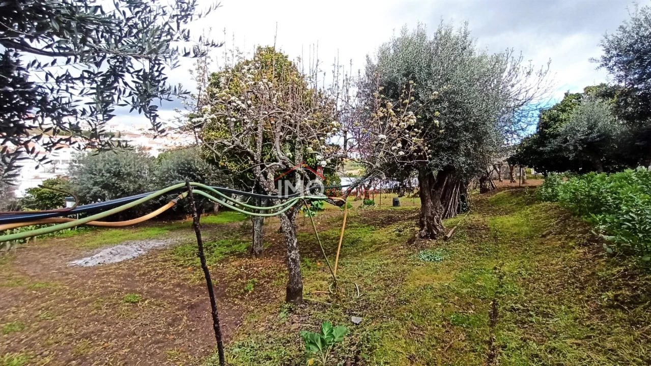 Moradia T3 para Venda em São João Baptista Foto 10