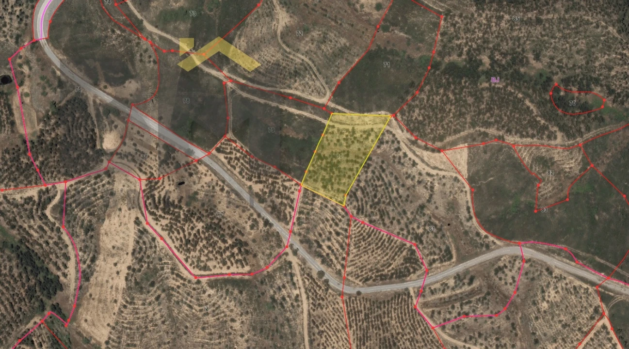 Terreno Agricola ou Rústico para Venda em Fratel Foto 3