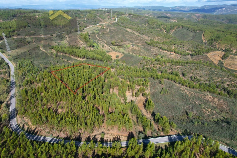 Terreno Agricola ou Rústico para Venda em Fratel Foto 1
