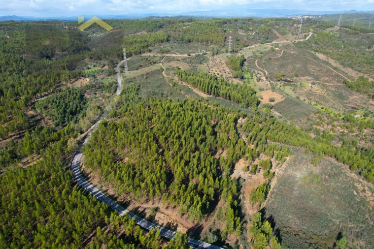 Terreno Agricola ou Rústico para Venda em Fratel Foto 2