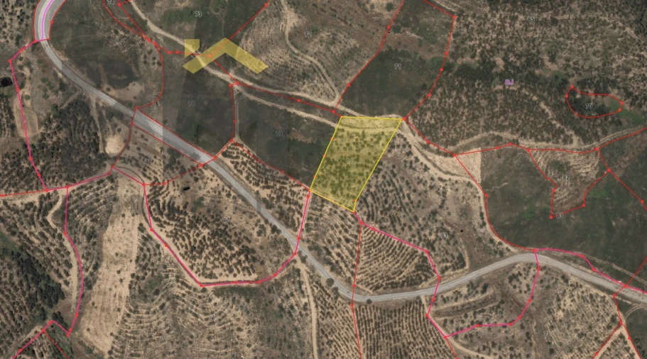 Terreno Agricola ou Rústico para Venda em Fratel Foto 3