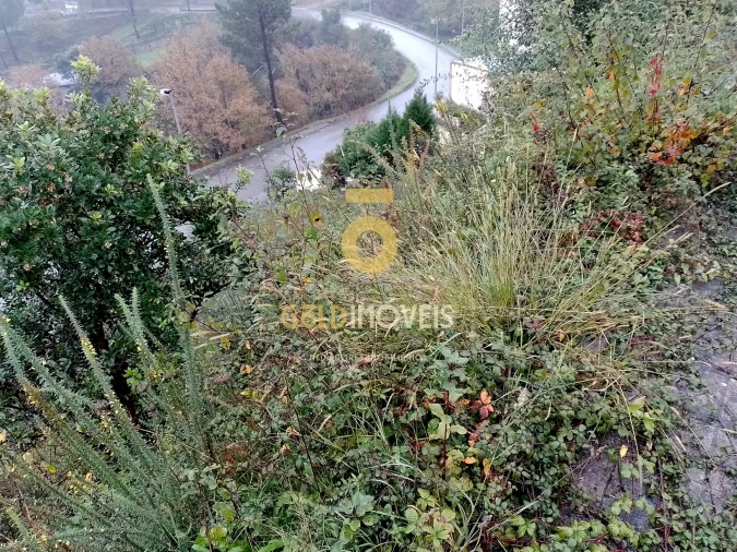 Terreno para Venda em Raiva, Pedorido e Paraíso Foto 7