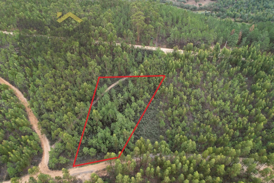 Terreno Agricola ou Rústico para Venda em Fratel Foto 3