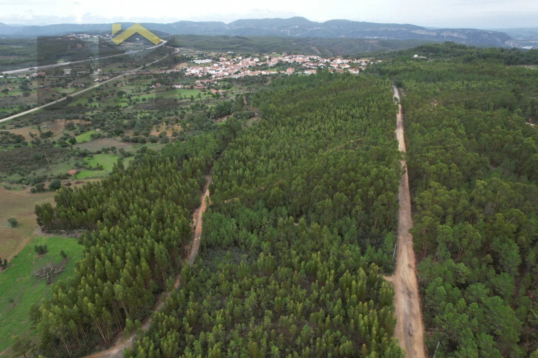 Terreno Agricola ou Rústico para Venda em Fratel Foto 2