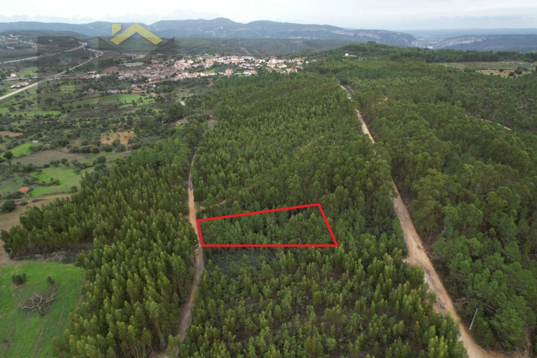 Terreno Agricola ou Rústico para Venda em Fratel Foto 1