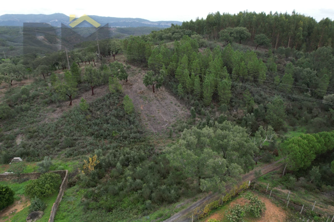 Terreno Agricola ou Rústico para Venda em Fratel Foto 7