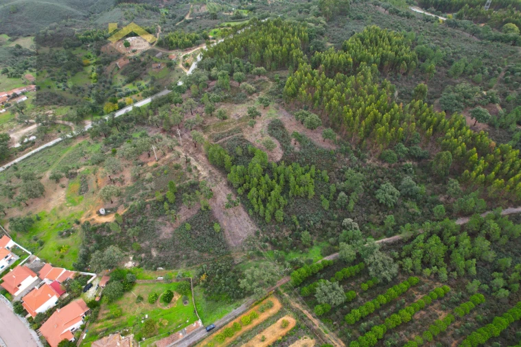 Terreno Agricola ou Rústico para Venda em Fratel Foto 2