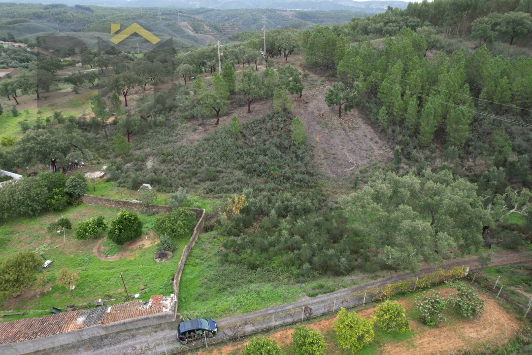 Terreno Agricola ou Rústico para Venda em Fratel Foto 6