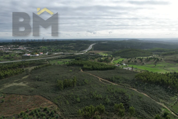 Terreno Agricola ou Rústico para Venda em Fratel Foto 2