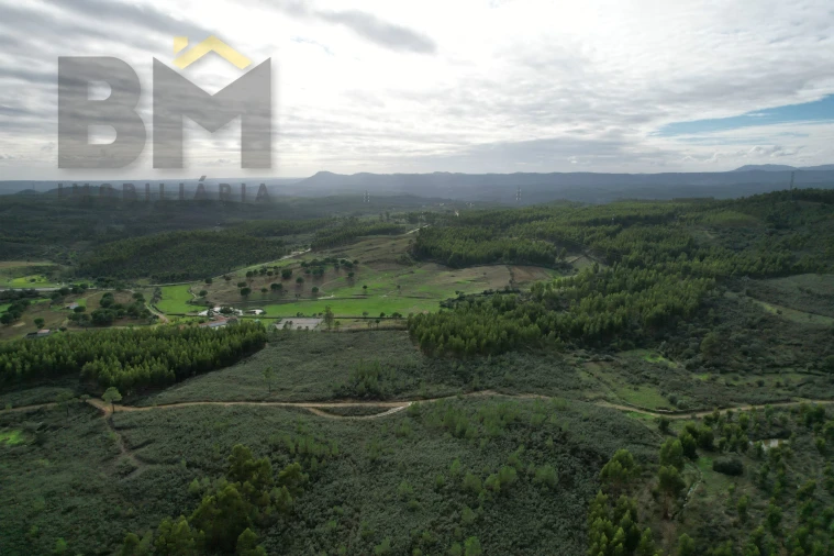 Terreno Agricola ou Rústico para Venda em Fratel Foto 4