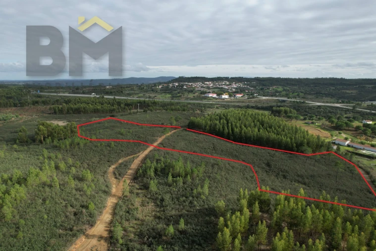 Terreno Agricola ou Rústico para Venda em Fratel