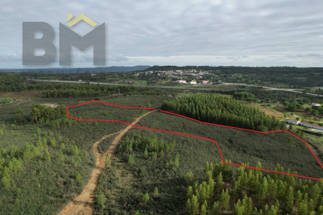 Terreno Agricola ou Rústico para Venda em Fratel Foto 1