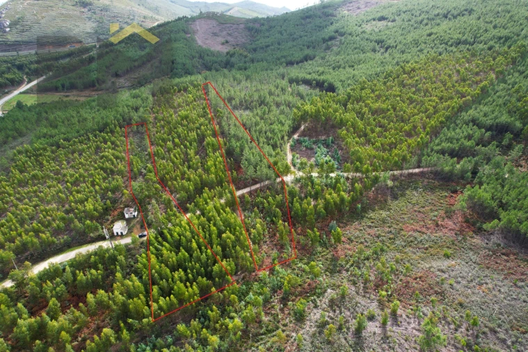 Terreno Agricola ou Rústico para Venda em Vila Velha de Rodão Foto 1