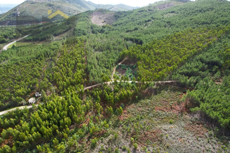 Terreno Agricola ou Rústico para Venda em Vila Velha de Rodão Foto 3