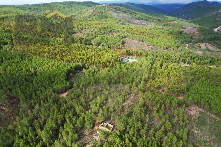 Terreno Agricola ou Rústico para Venda em Vila Velha de Rodão Foto 2