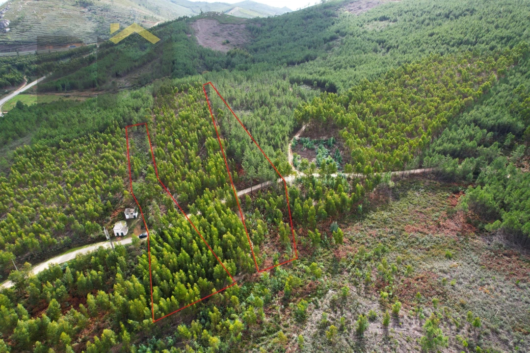 Terreno Agricola ou Rústico para Venda em Vila Velha de Rodão Foto 1