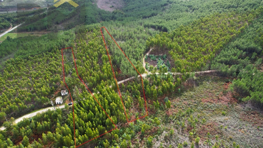 Terreno Agricola ou Rústico para Venda em Vila Velha de Rodão