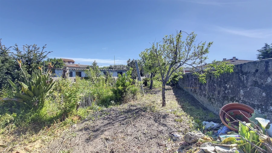 Moradia T3 para Venda em Gião Foto 4