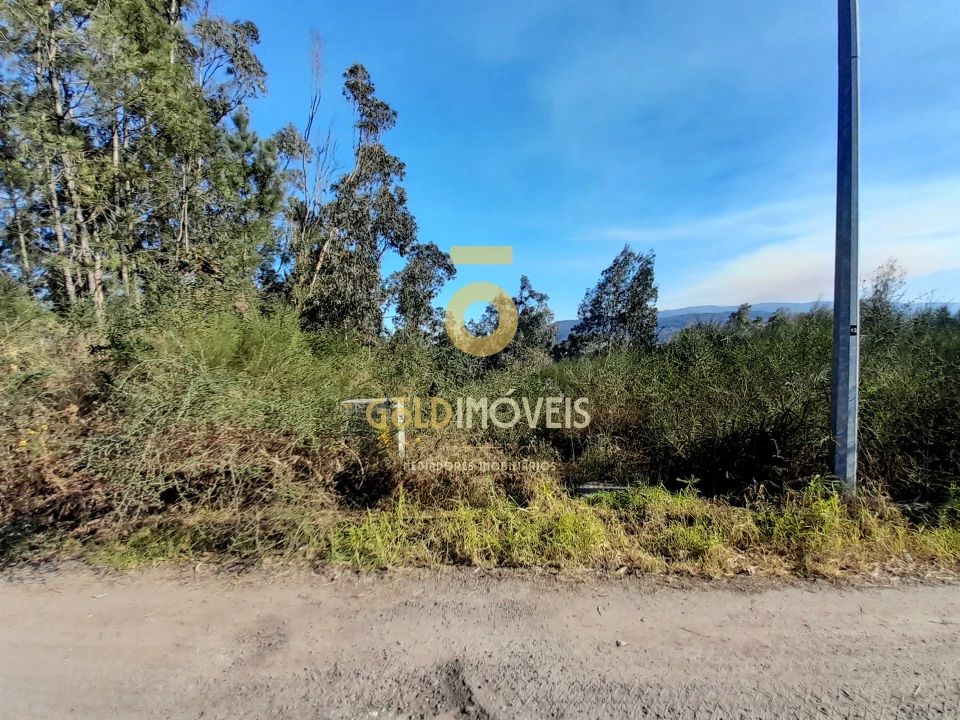 Terreno para Venda em Alpendorada, Várzea e Torrão Foto 2