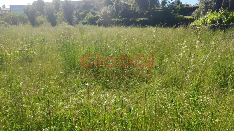 Terreno para Venda em Tondela e Nandufe Foto 3