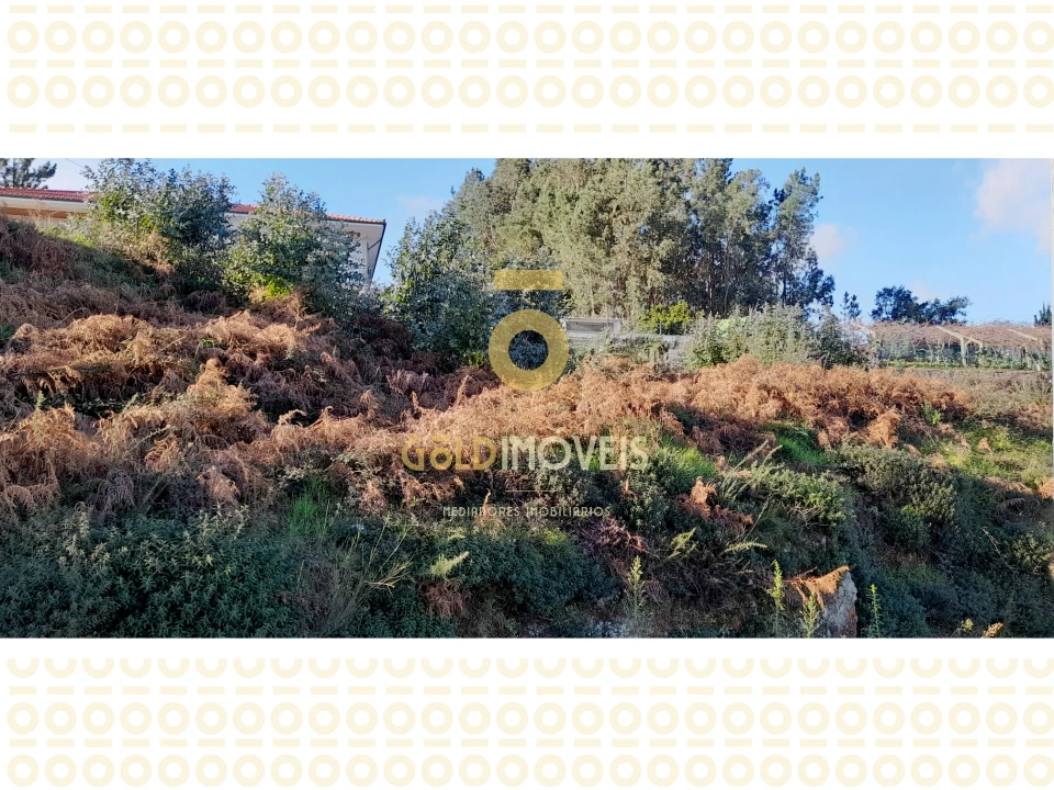 Terreno para Venda em Sobrado e Bairros Foto 2