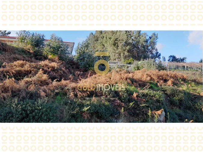 Terreno para Venda em Sobrado e Bairros Foto 2