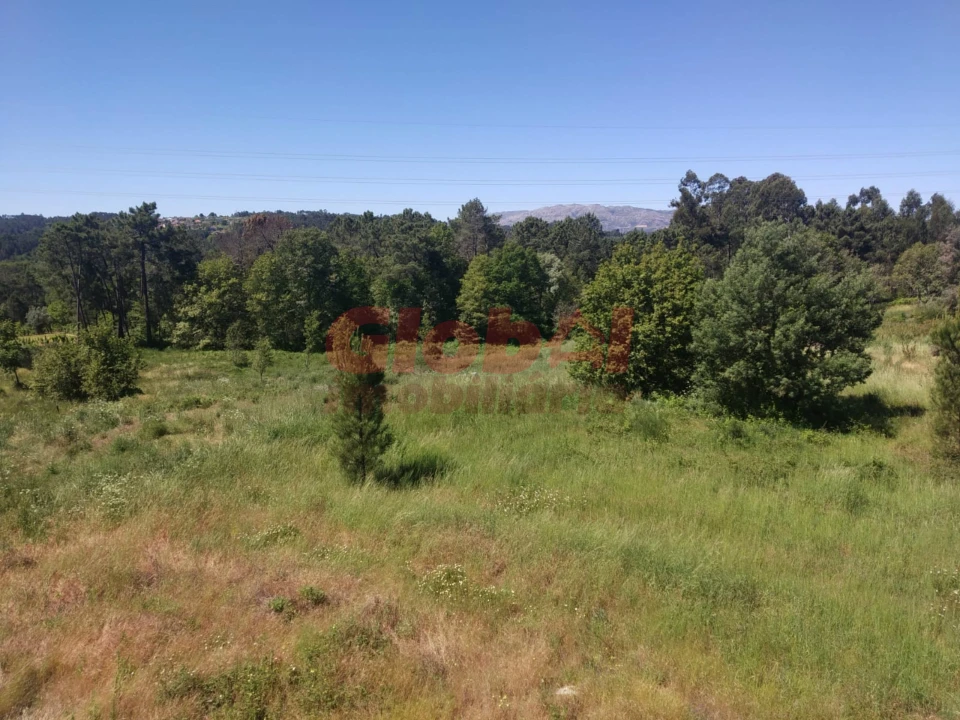 Terreno Misto para Venda em Bodiosa Foto 2