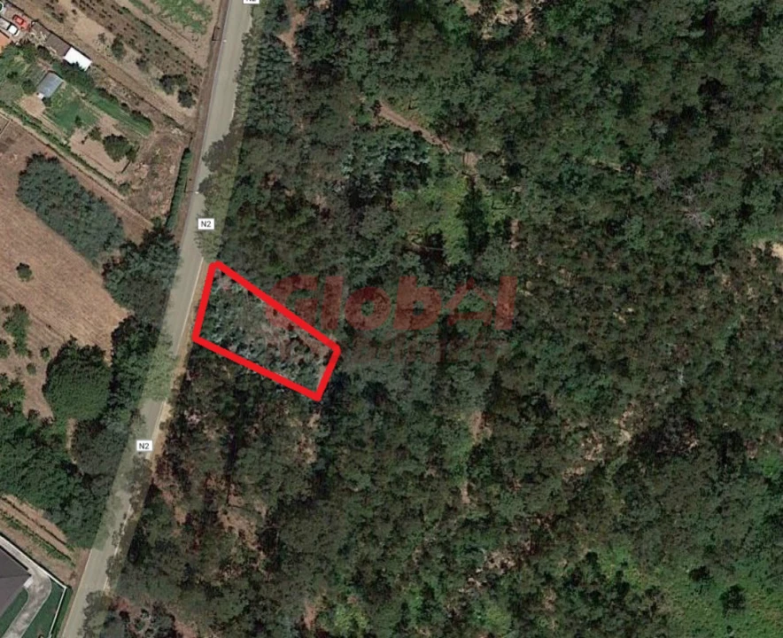 Terreno para Venda em Santa Comba Dão e Couto do Mosteiro Foto 1