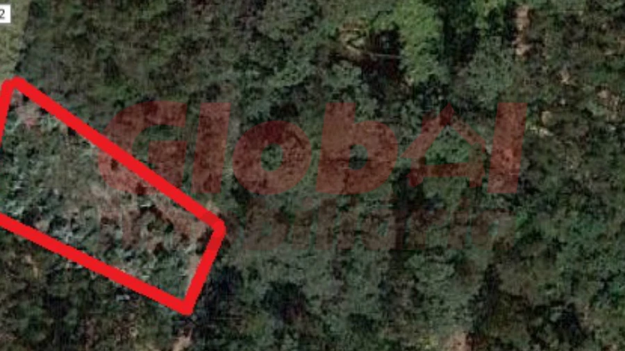 Terreno para Venda em Santa Comba Dão e Couto do Mosteiro