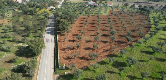 Terreno Agricola ou Rústico para Venda em Freixial e Juncal do Campo