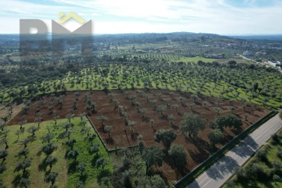 Terreno Agricola ou Rústico para Venda em Freixial e Juncal do Campo