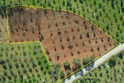 Terreno Agricola ou Rústico para Venda em Freixial e Juncal do Campo