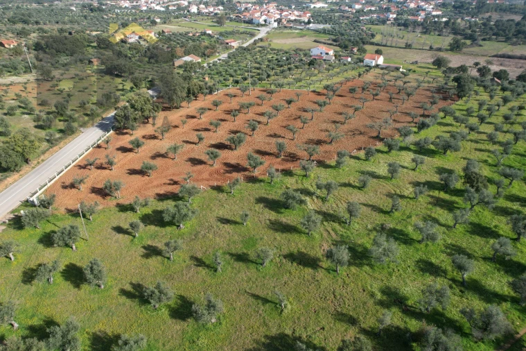 Terreno Agricola ou Rústico para Venda em Freixial e Juncal do Campo Foto 3