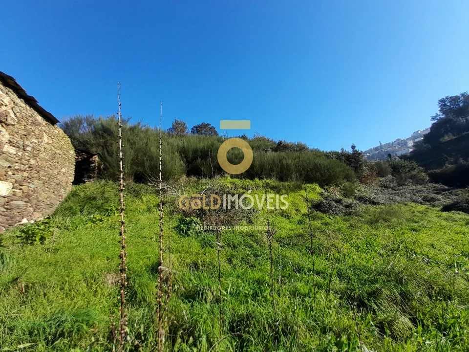 Moradia T0 para Venda em Raiva, Pedorido e Paraíso Foto 4