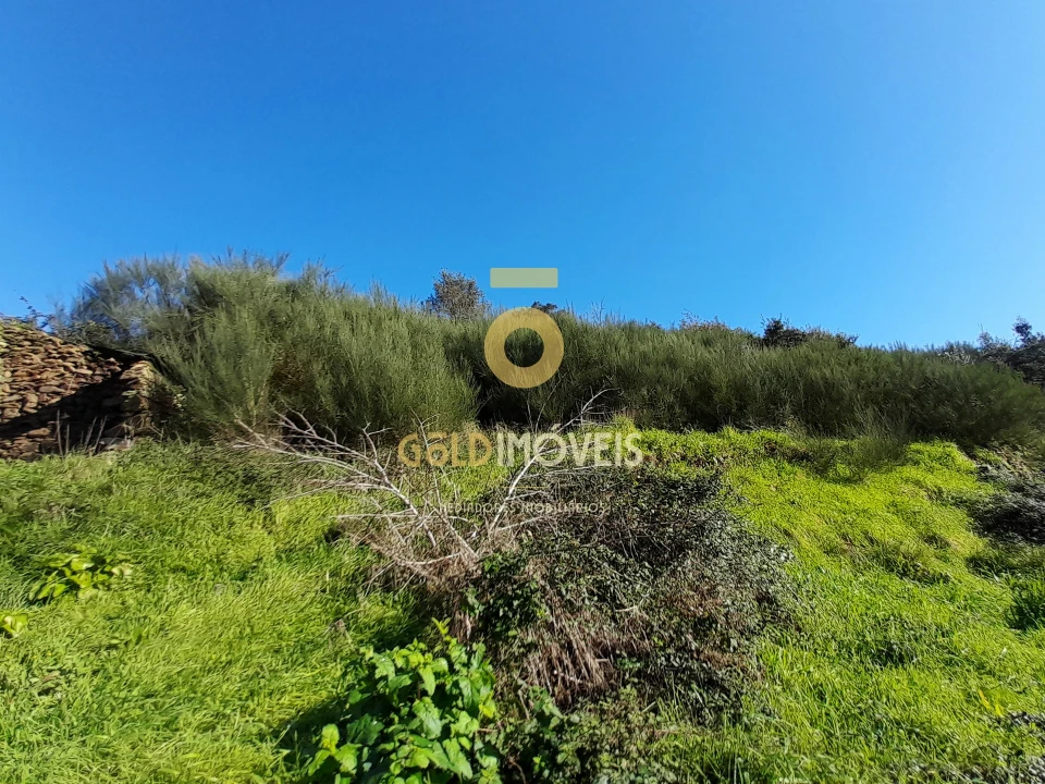 Moradia T0 para Venda em Raiva, Pedorido e Paraíso Foto 6