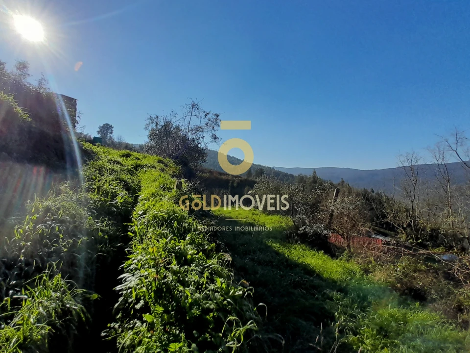 Moradia T0 para Venda em Raiva, Pedorido e Paraíso Foto 11