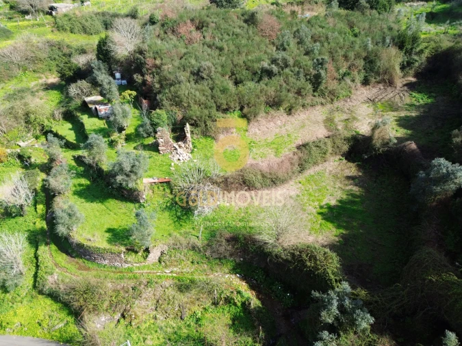 Moradia T0 para Venda em Raiva, Pedorido e Paraíso Foto 15