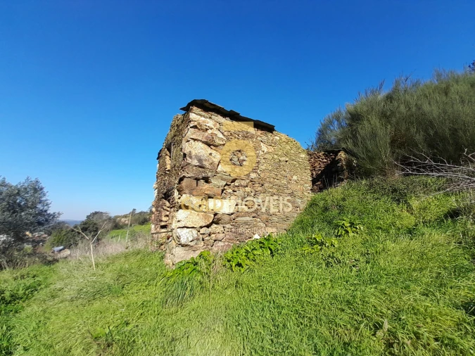 Moradia T0 para Venda em Raiva, Pedorido e Paraíso Foto 3