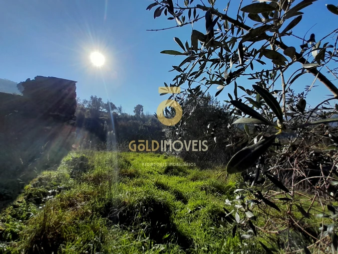 Moradia T0 para Venda em Raiva, Pedorido e Paraíso Foto 9