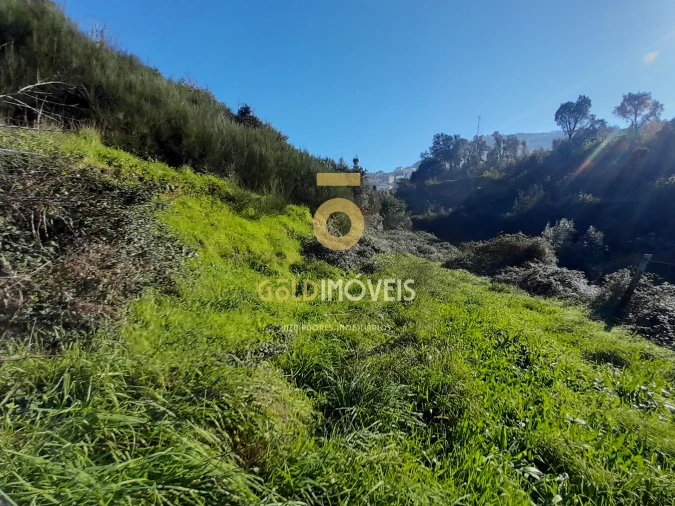 Moradia T0 para Venda em Raiva, Pedorido e Paraíso Foto 9