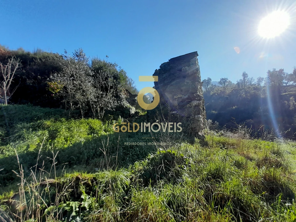 Moradia T0 para Venda em Raiva, Pedorido e Paraíso Foto 5