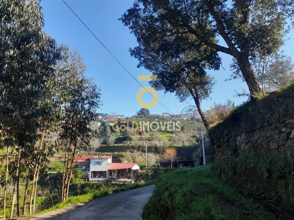 Moradia T0 para Venda em Raiva, Pedorido e Paraíso Foto 12