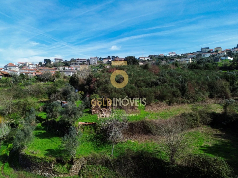 Moradia T0 para Venda em Raiva, Pedorido e Paraíso Foto 1