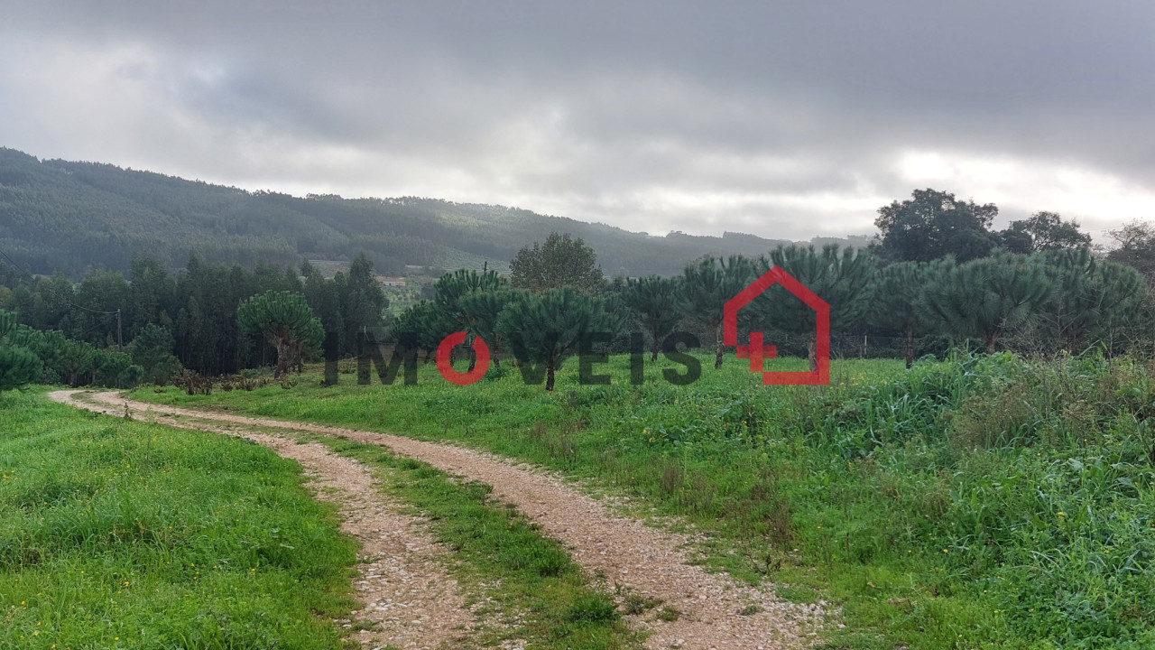 Quinta T3 para Venda em Areias e Pias Foto 2