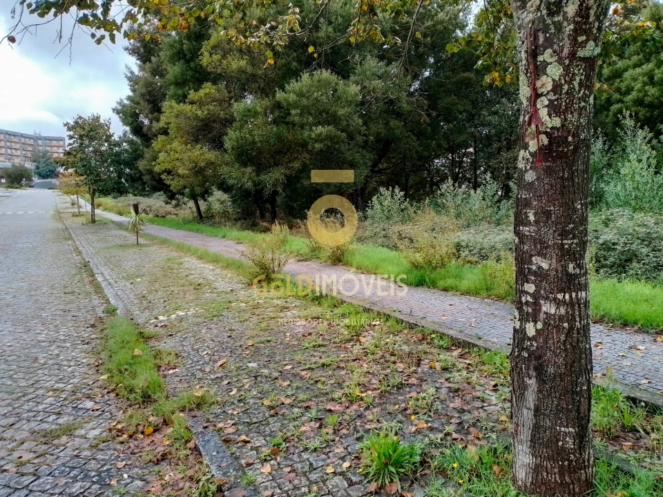 Terreno para Venda em Alpendorada, Várzea e Torrão Foto 3