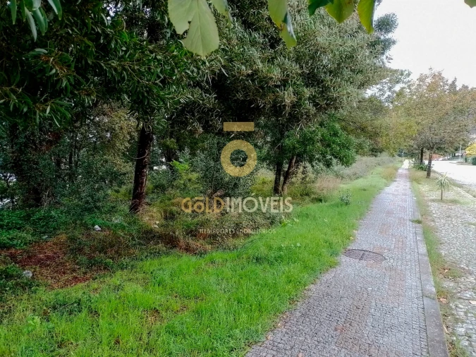 Terreno para Venda em Alpendorada, Várzea e Torrão Foto 2