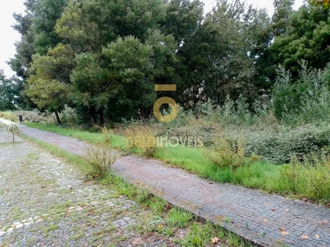 Terreno para Venda em Alpendorada, Várzea e Torrão Foto 4