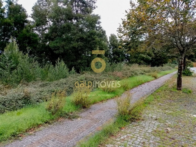 Terreno para Venda em Alpendorada, Várzea e Torrão Foto 1